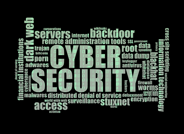cyber-security-1805632_640.png
