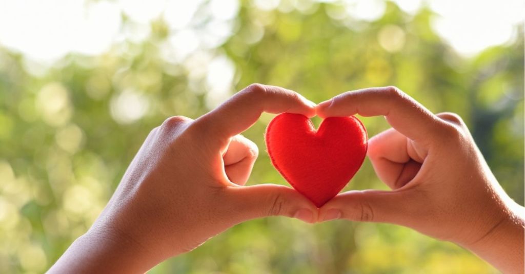 Hands holding heart plushie