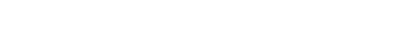 White Support NY logo