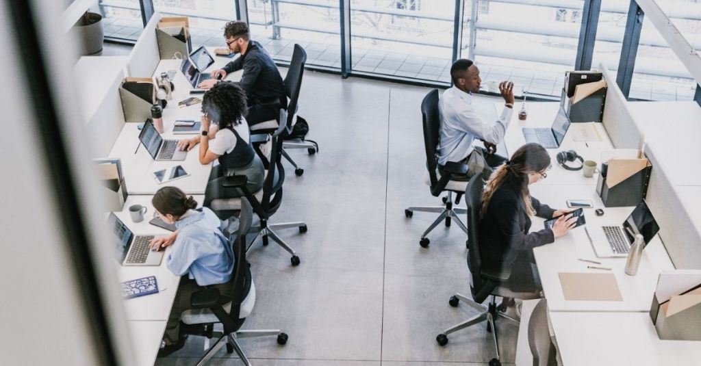 Five employees sitting at their desks working